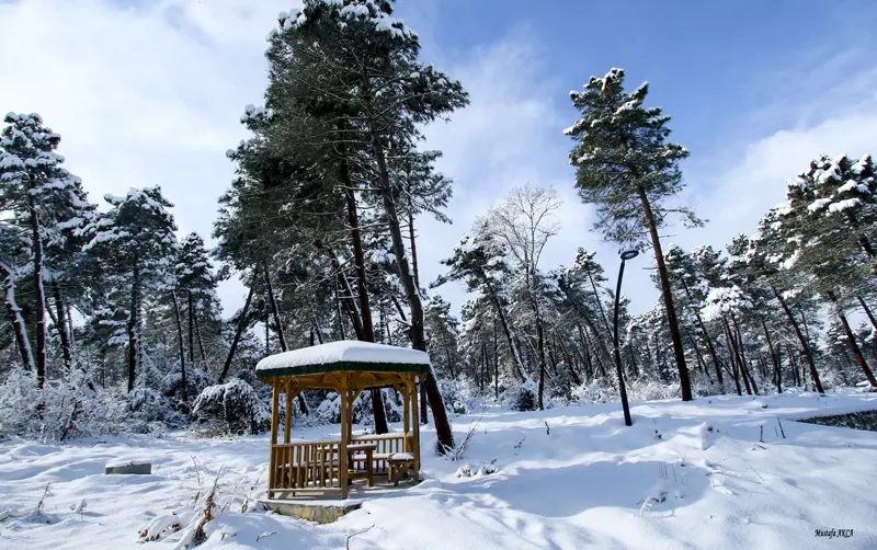Sarıgazel Tabiat Parkı — Samsun — küçük resim 10