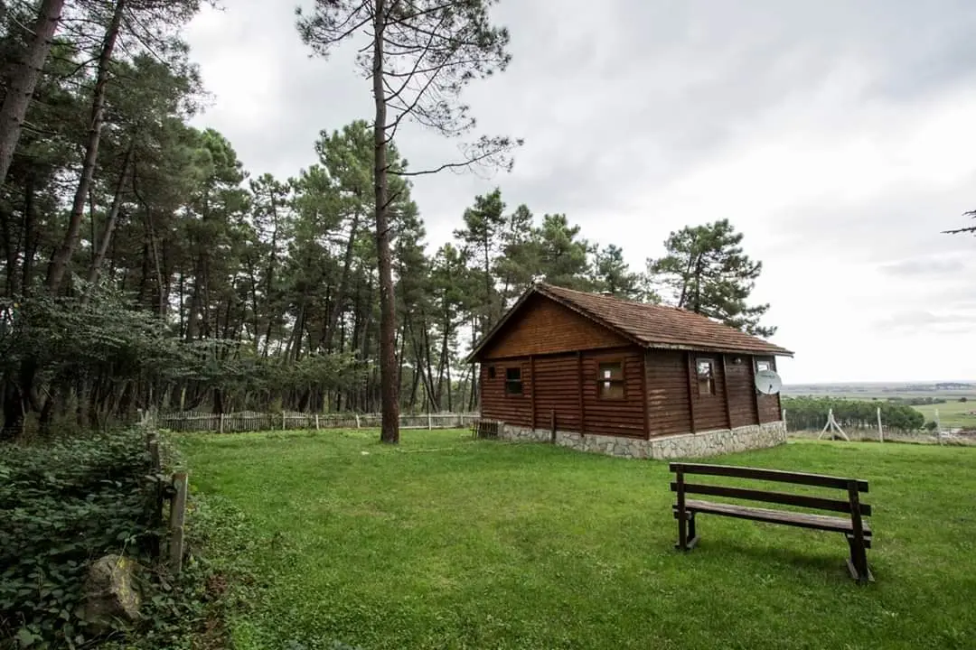Sarıgazel Tabiat Parkı — Samsun — küçük resim 8