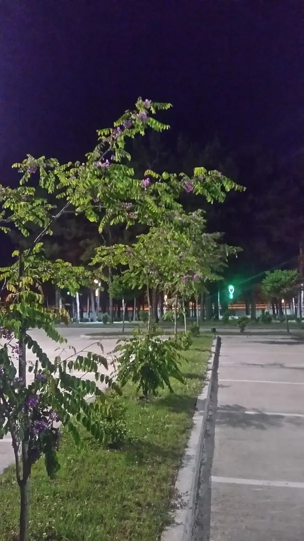 Instalaciones de Playa Milich del Ayuntamiento de Samsun Büyükşehir — Samsun — küçük resim 7