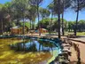 Park Orman Çarşamba