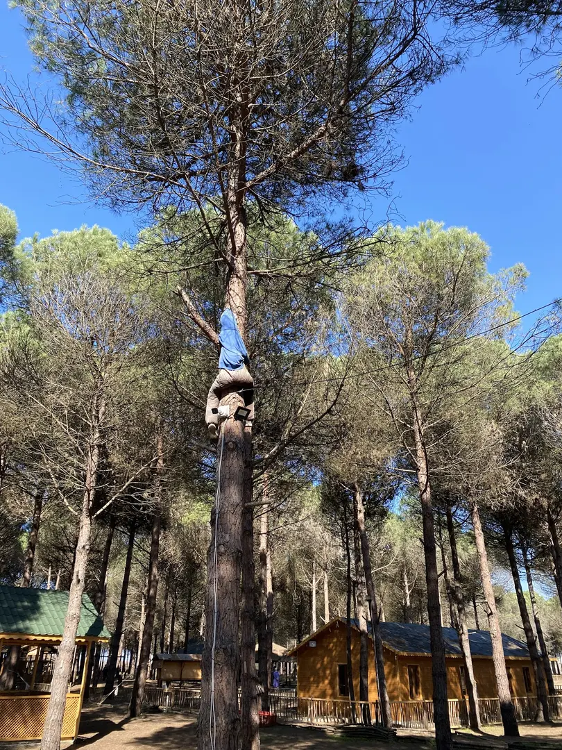 Park Orman Çarşamba — Samsun — küçük resim 2