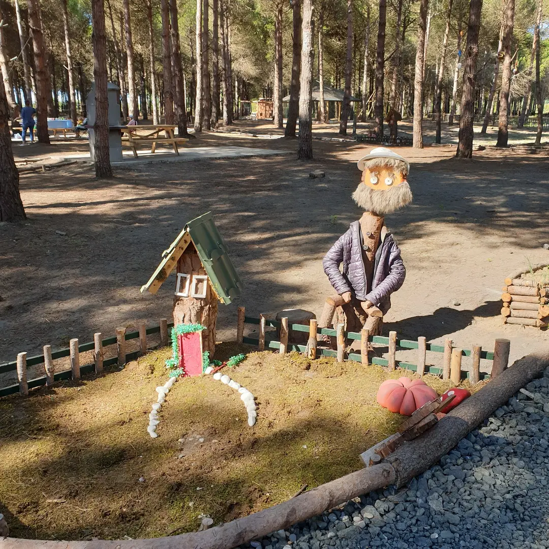 Park Orman Çarşamba — Samsun — küçük resim 3