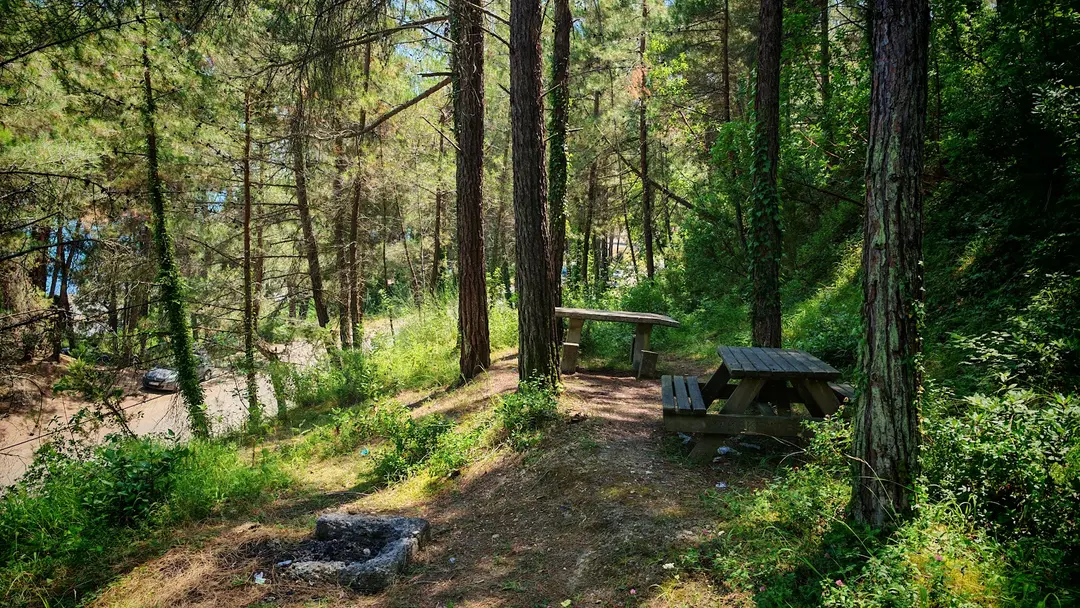 Área Recreativa Çamgölü — Samsun — küçük resim 7