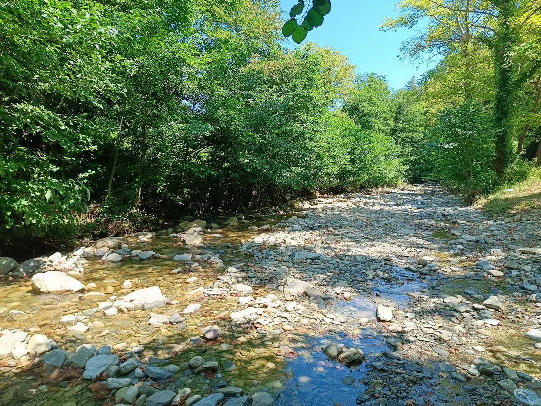 Área Recreativa Çamgölü — Samsun — küçük resim 6