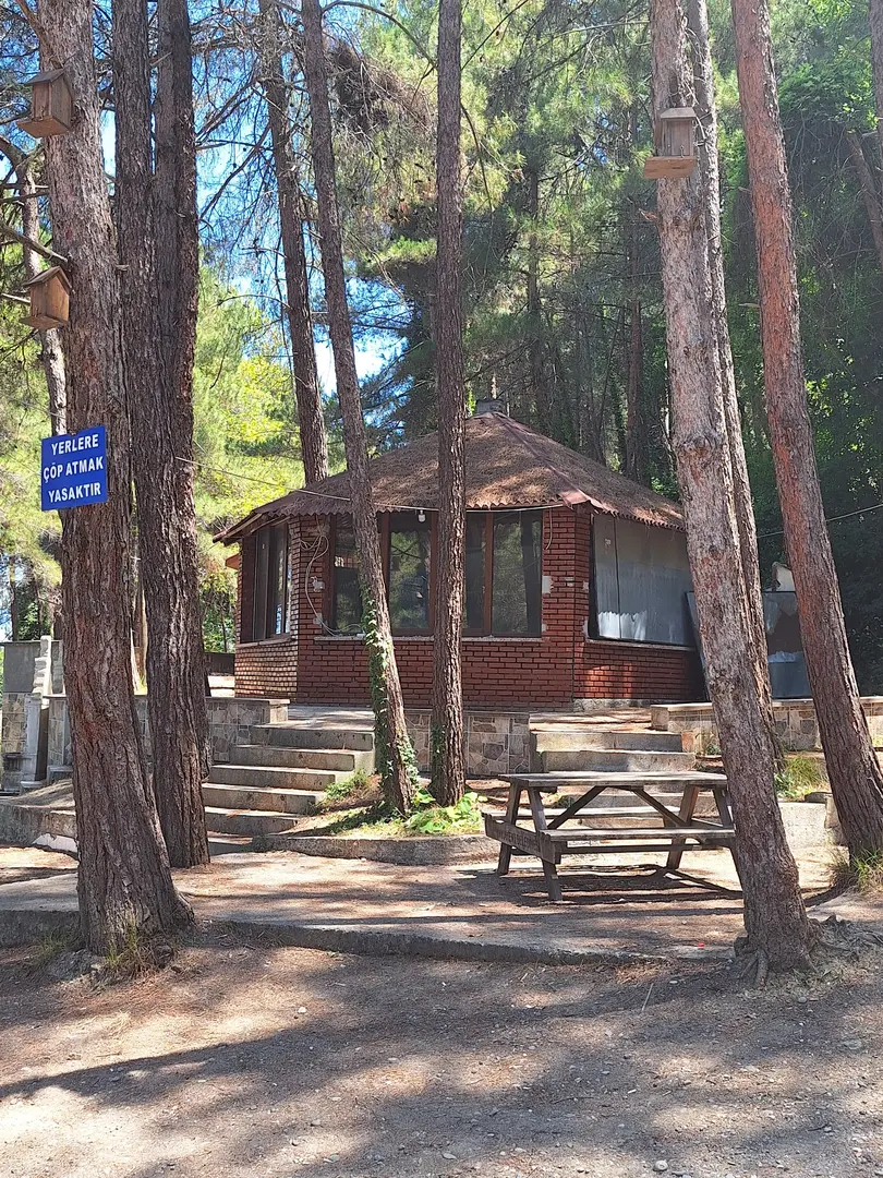 Área Recreativa Çamgölü — Samsun — küçük resim 9