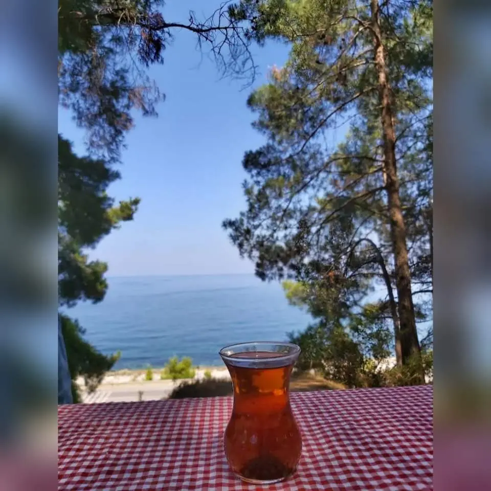 Área Recreativa Çamgölü — Samsun — küçük resim 3