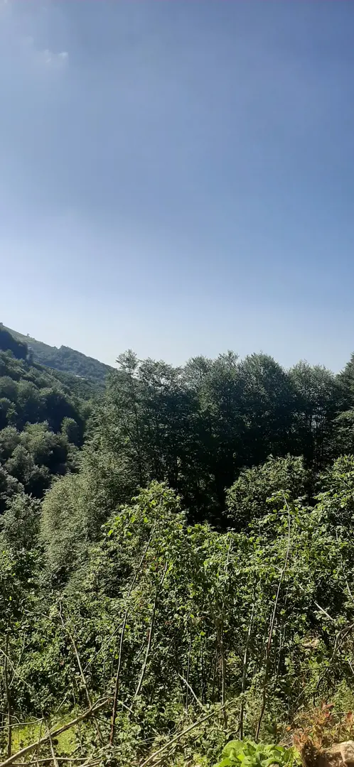 Campo Nebiyan Izcilik — Samsun — küçük resim 2