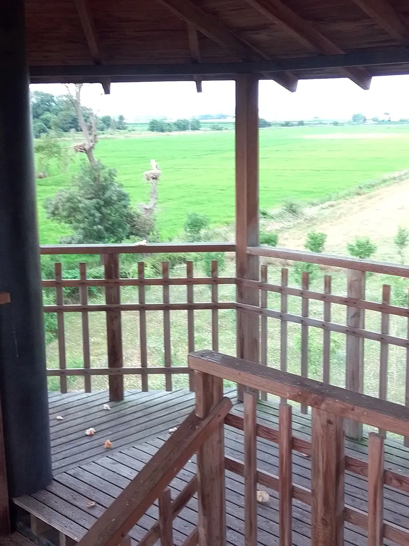 Kızılırmak Delta Stork Forest — Samsun — küçük resim 7