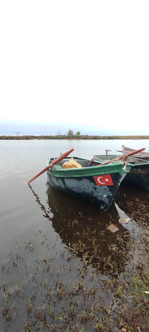 Bafra Nature Conservation and National Parks Unit — Samsun — küçük resim 2