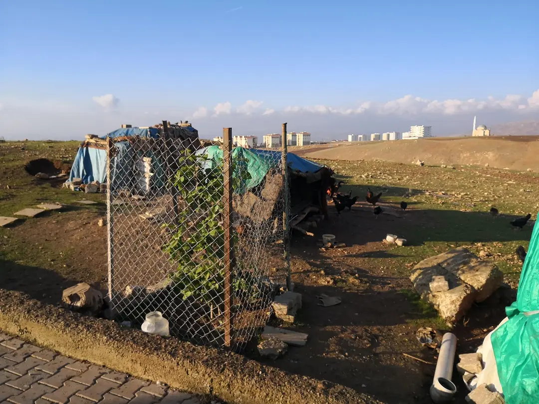 Siirt Merkez