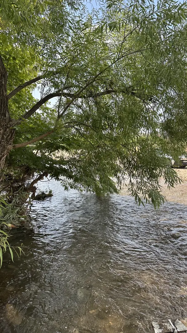 Zarova-Şelale Camping and Picnic Area — Siirt — küçük resim 3