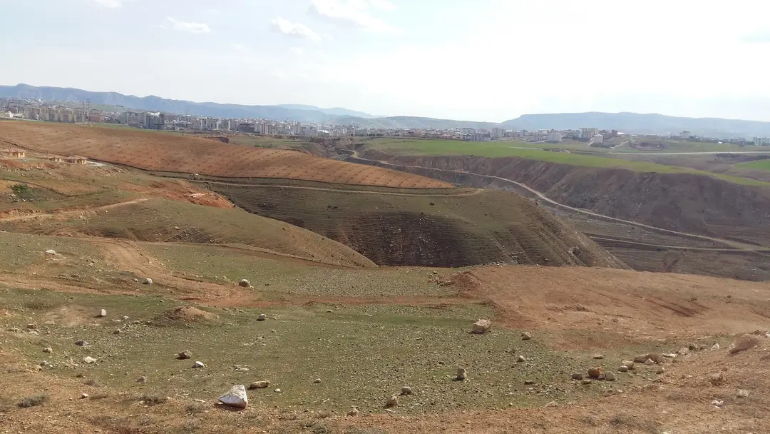 Siirt City Forest Afforestation — Siirt — küçük resim 5