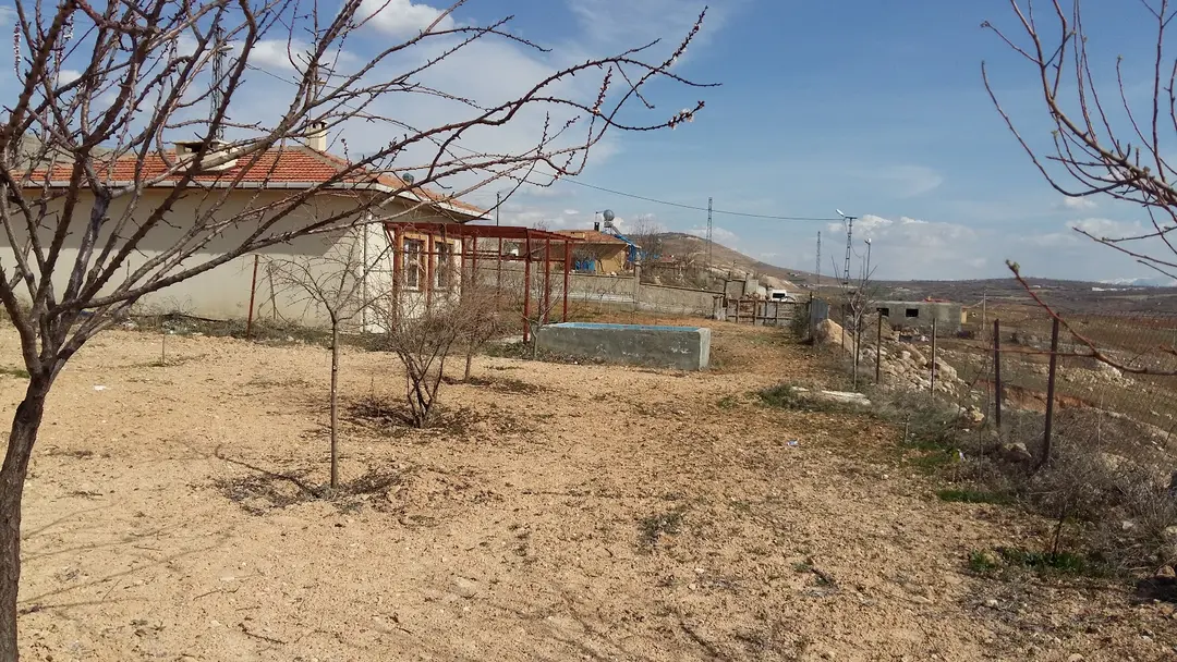Siirt City Forest Afforestation — Siirt — küçük resim 4