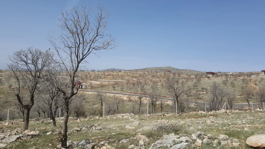 Tillo Nature Park — Siirt — küçük resim 10