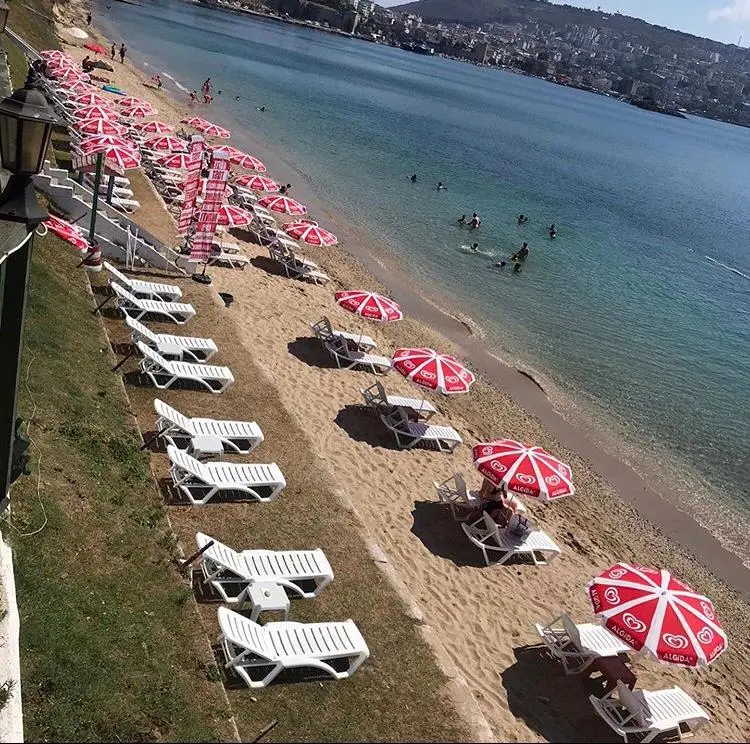 Sinop Orman Kampı