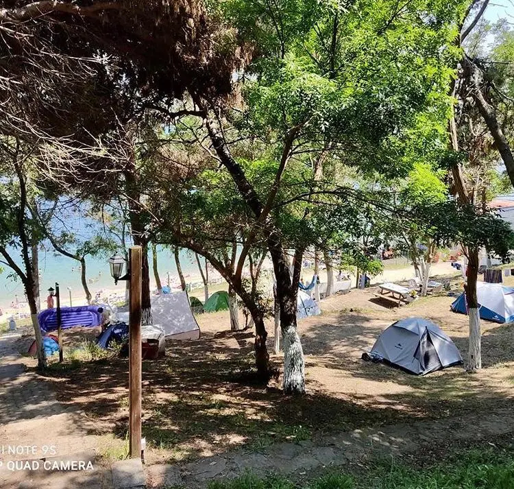 Sinop Forest Camp — Sinop — küçük resim 5