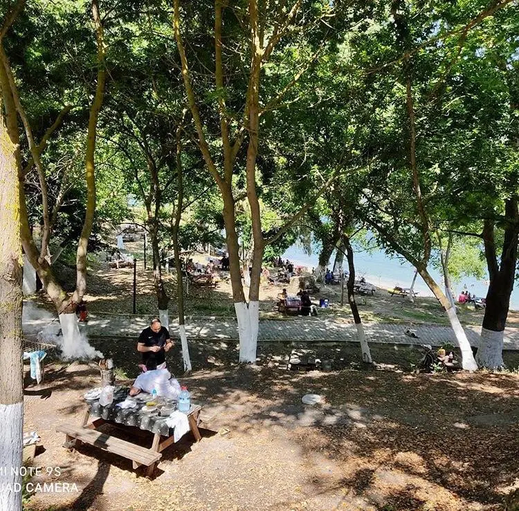 Sinop Forest Camp — Sinop — küçük resim 4