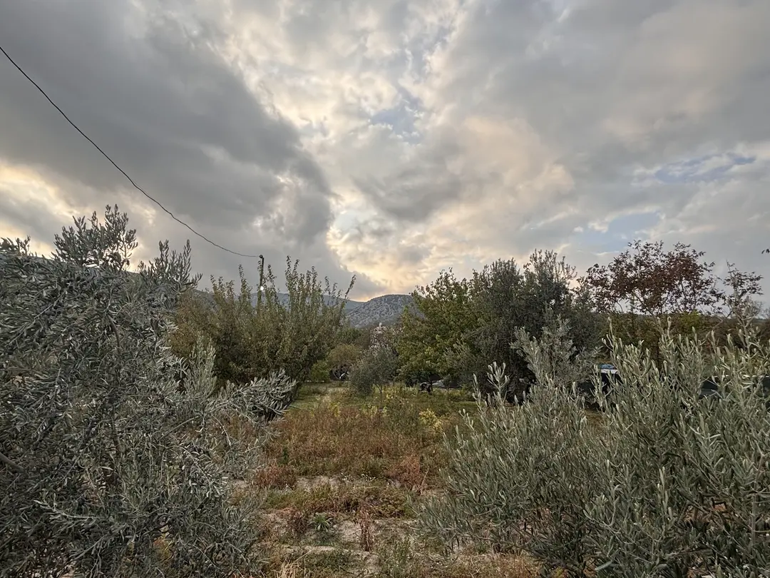 Morbahçe campingplads og teltlejr — İzmir — küçük resim 9