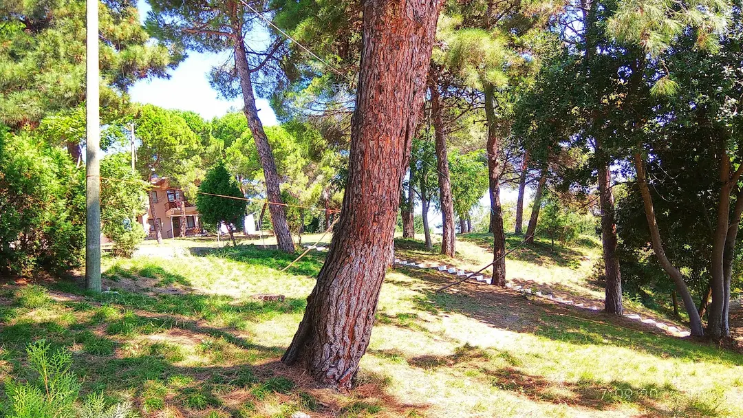 Municipal Camping Area — Sinop — küçük resim 9