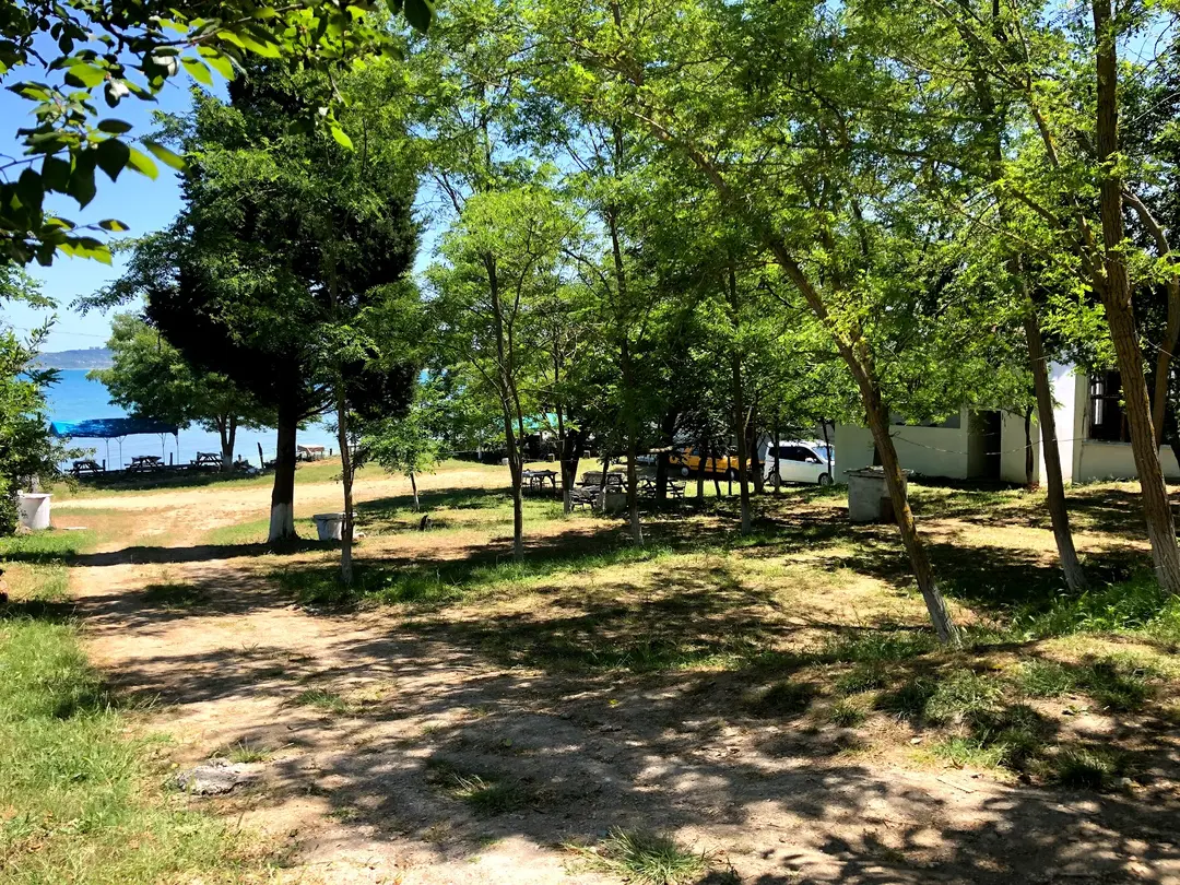 Demirkollar Family Camping — Sinop — küçük resim 4