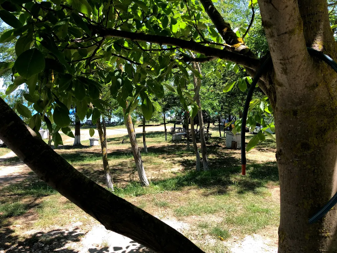 Demirkollar Family Camping — Sinop — küçük resim 10