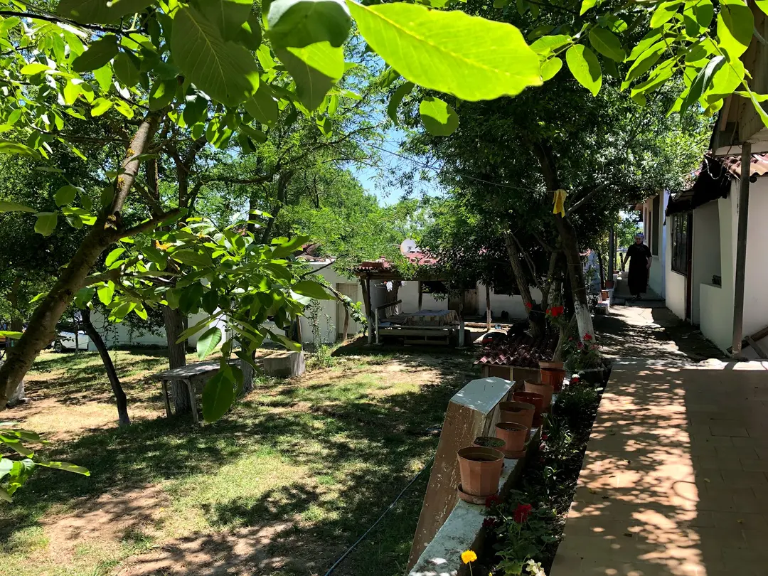 Demirkollar Family Camping — Sinop — küçük resim 8