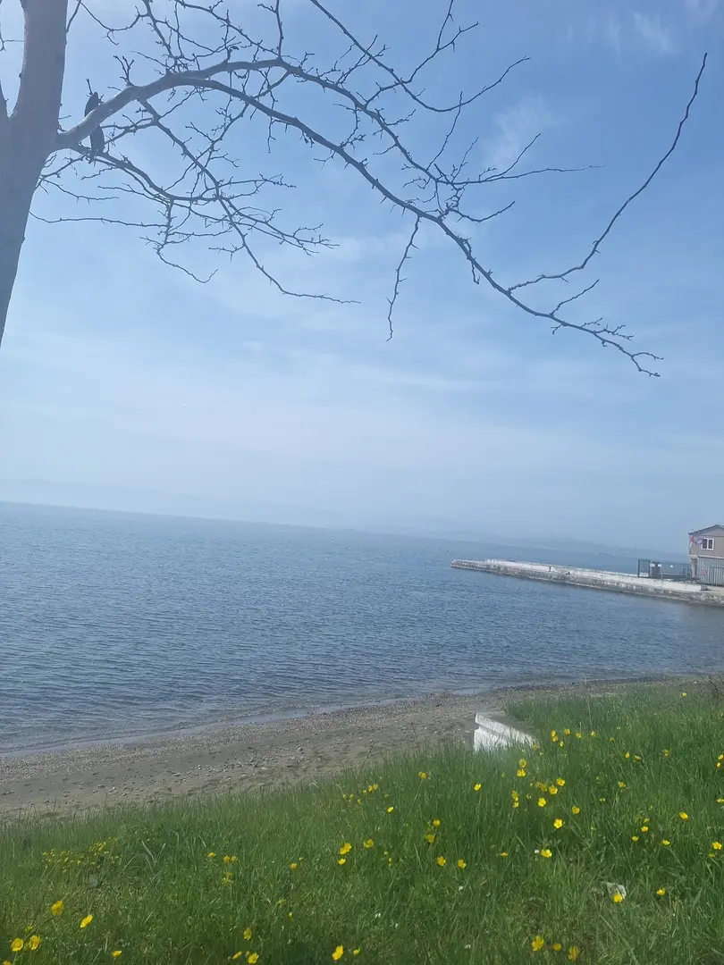 Instalaciones Sociales Karakum de la Administración Provincial — Sinop — küçük resim 3