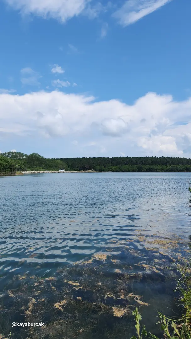 Parque Natural Hamsilos — Sinop — küçük resim 6