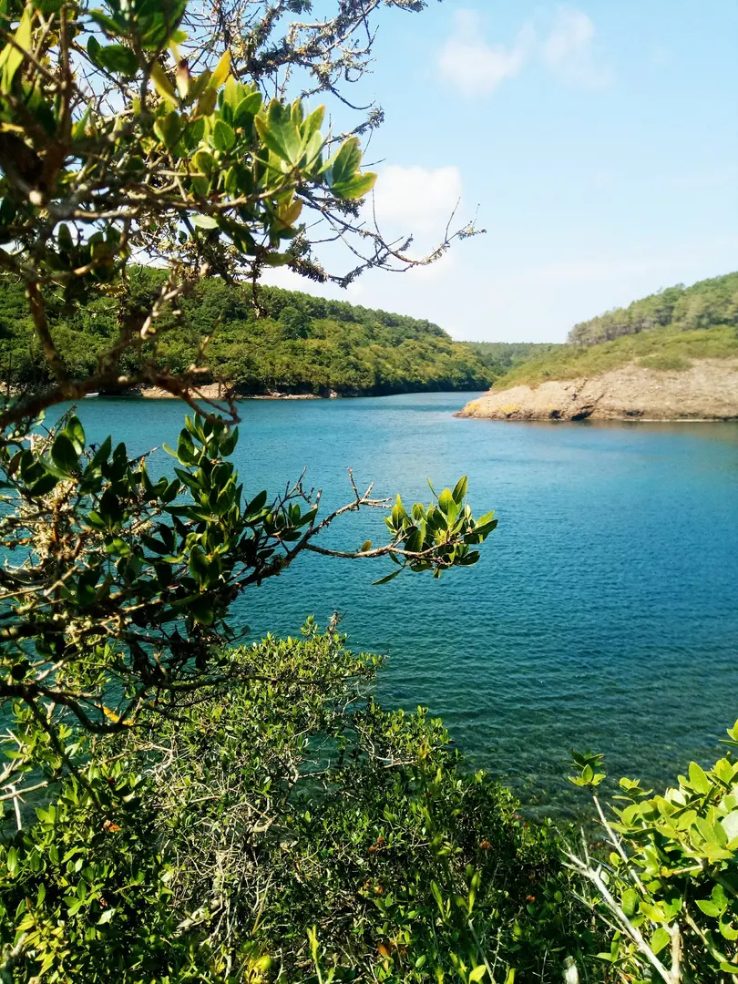Parque Natural Hamsilos — Sinop — küçük resim 7