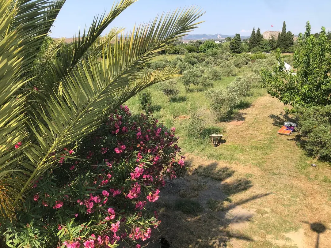Zen Sığacık kamp alanı ve bahçe — İzmir — küçük resim 6