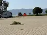 Torasan Kamp ve Piknik Alanı