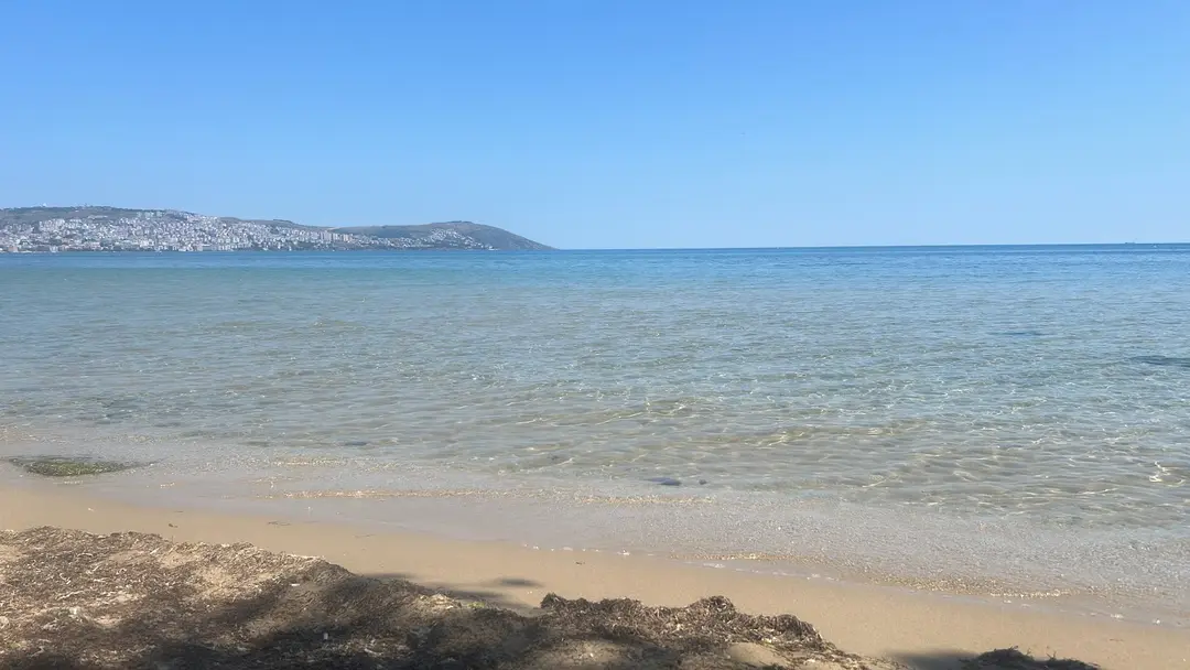 Kiraztepe Holiday Houses — Sinop — küçük resim 5