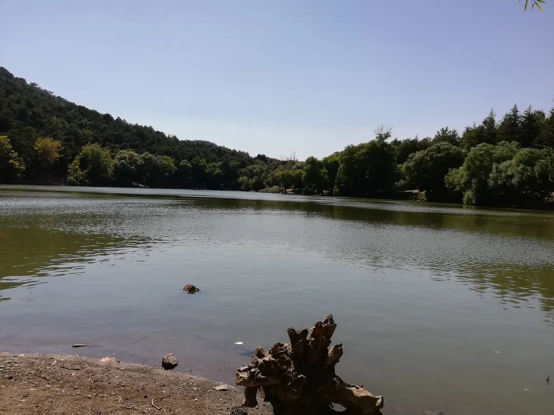 Yamanlardağı Tabiat Parkı — İzmir — küçük resim 6
