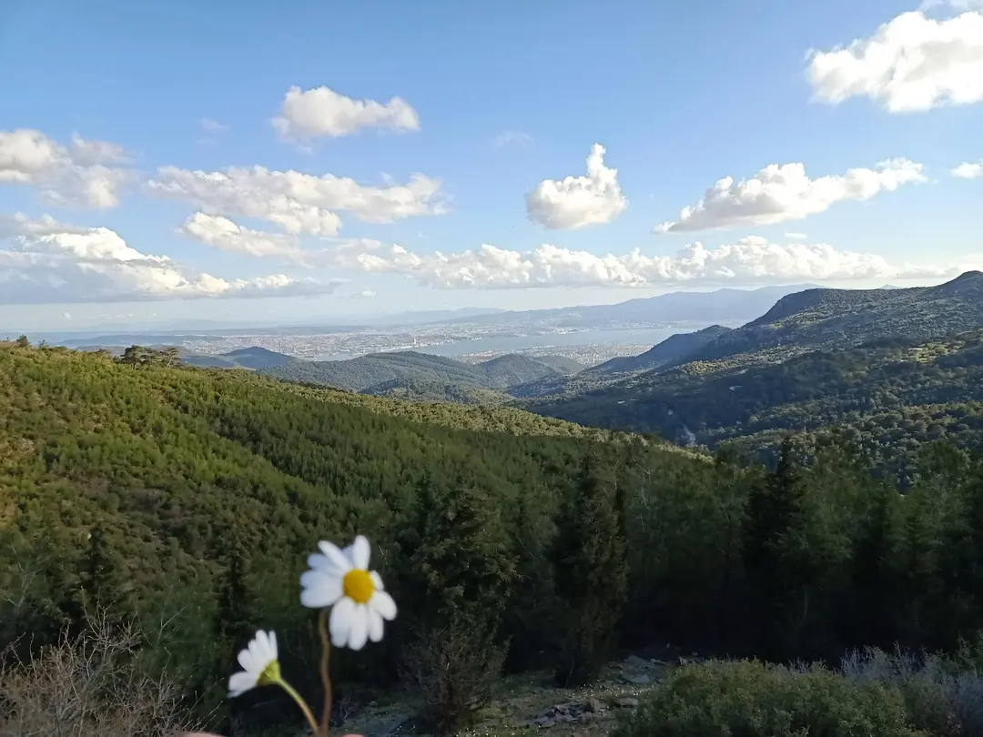 Yamanlardağı Tabiat Parkı — İzmir — küçük resim 9