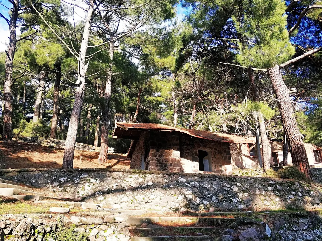 Yamanlardağı Tabiat Parkı — İzmir — küçük resim 7