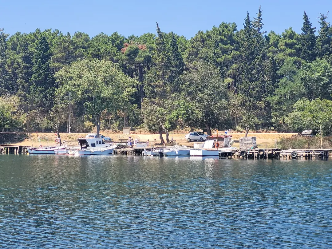 Sinop Akliman