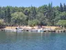 Sinop Akliman