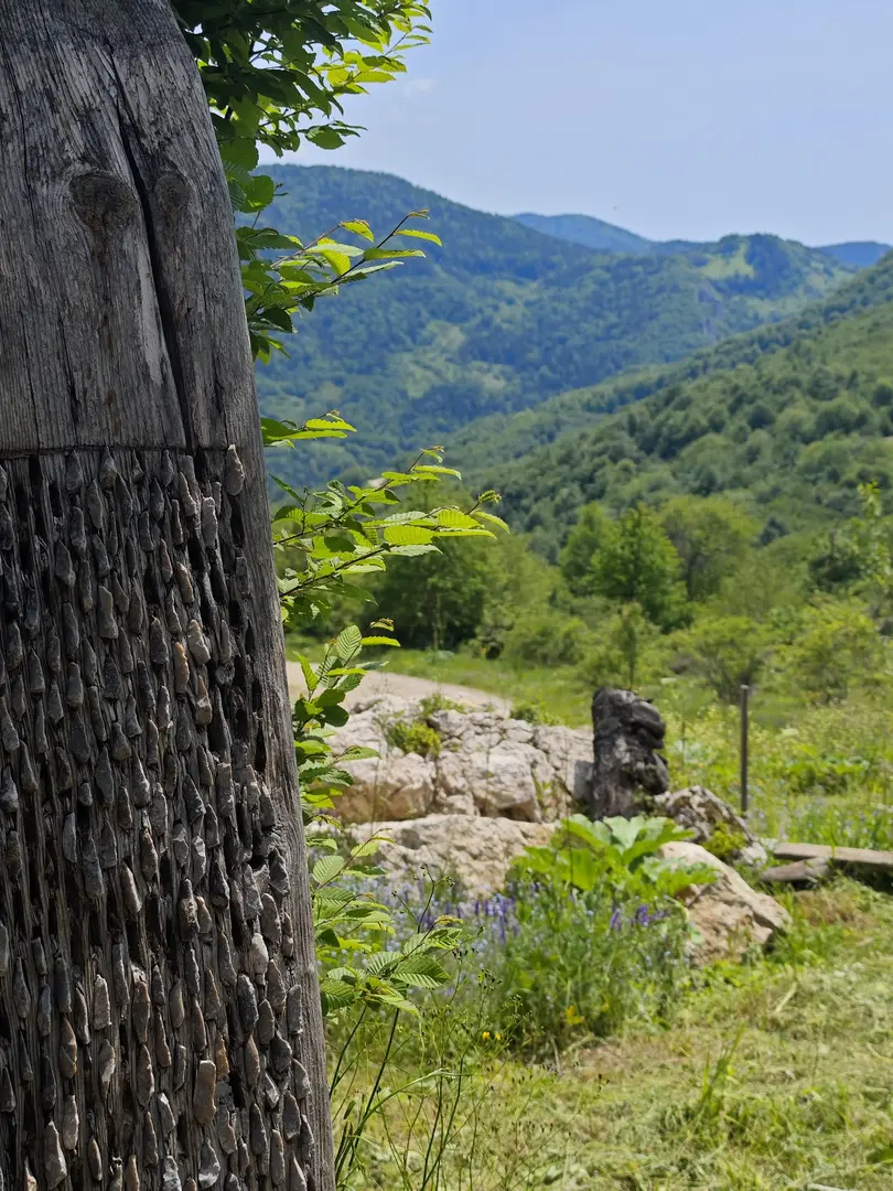 İnaltı Nature Life Area — Sinop — küçük resim 6