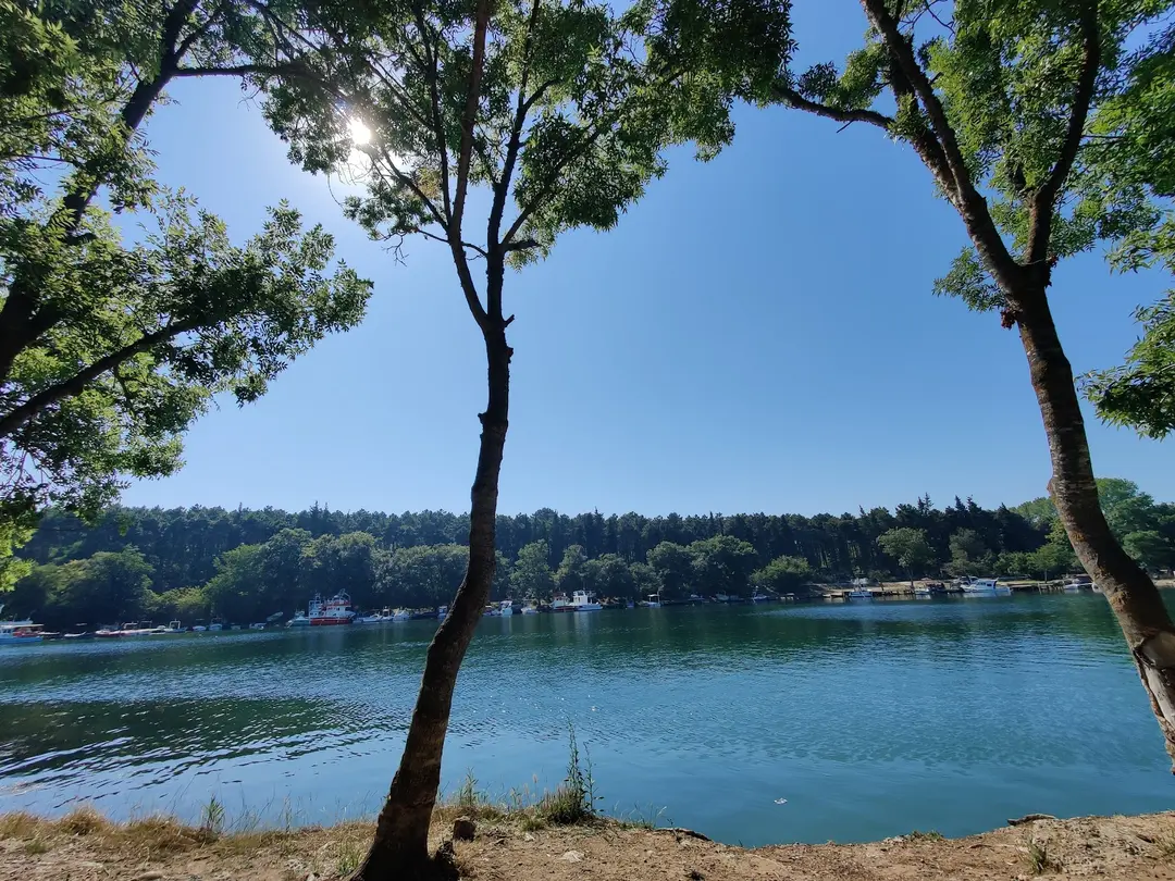 Hamsilos Koyu — Sinop — küçük resim 7