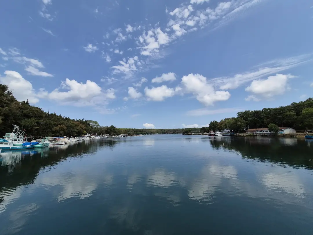 Hamsilos Koyu — Sinop — küçük resim 4
