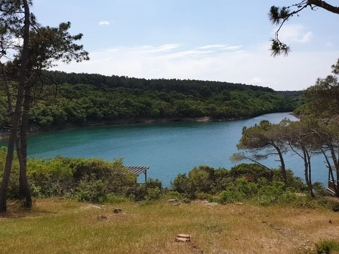 Hamsilos Koyu — Sinop — küçük resim 6