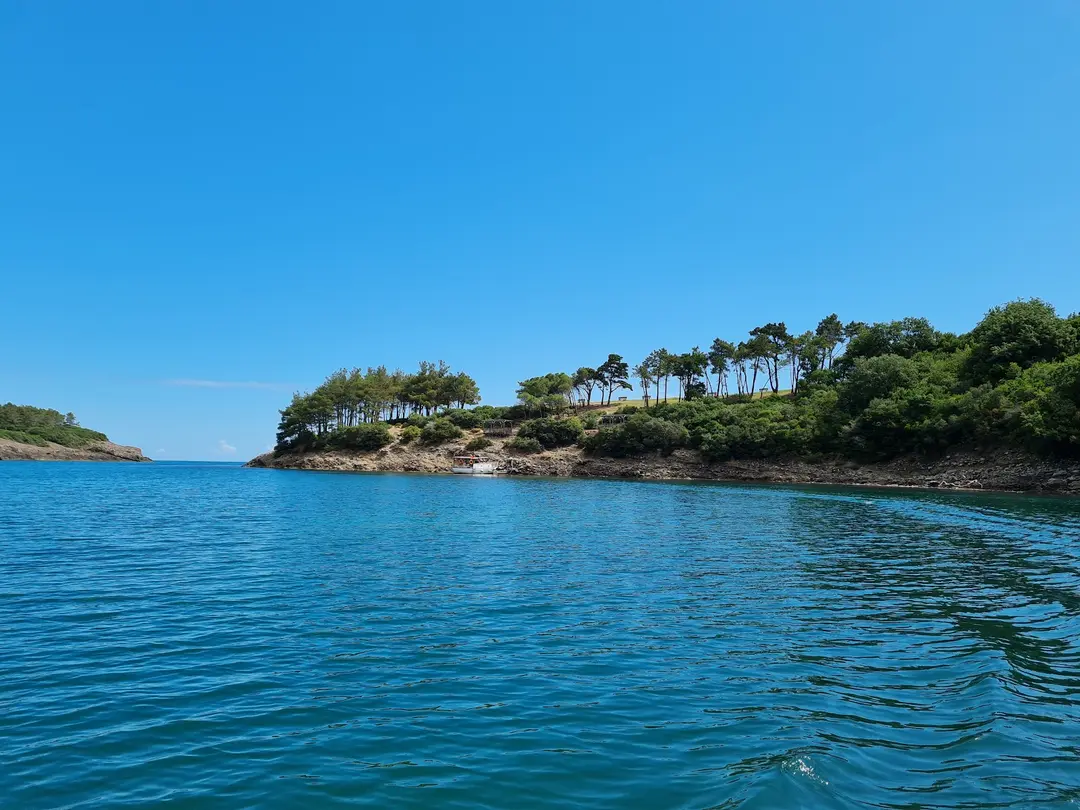 Hamsilos Koyu — Sinop — küçük resim 8
