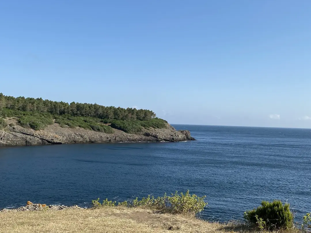Hamsilos Koyu — Sinop — küçük resim 2