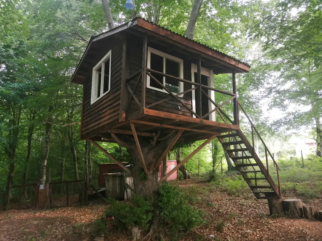 Yıldız Country Otel ve Parkyıldız Tesisleri - Bektaşğa Göleti — Sinop — küçük resim 10