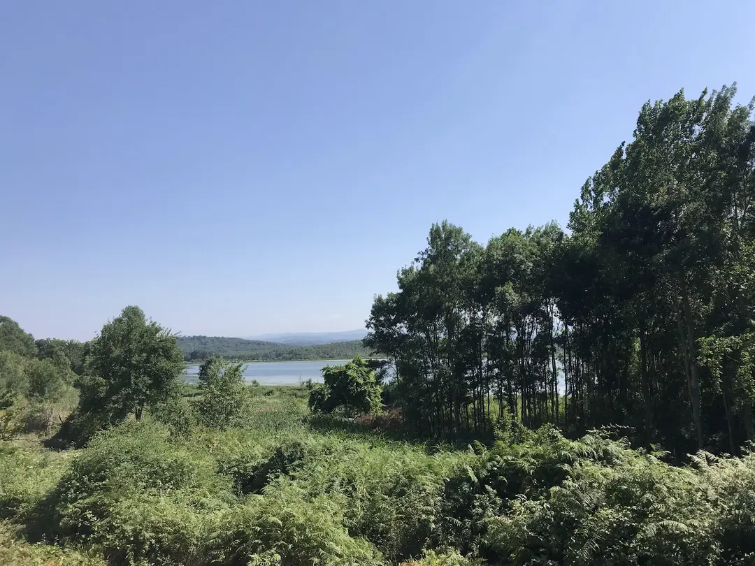 Sarıkum Lake Nature Conservation Area — Sinop — küçük resim 10