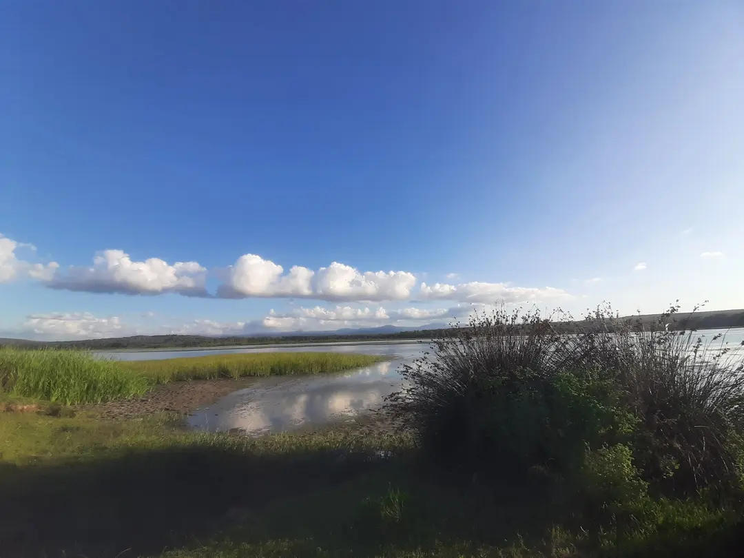 Sarıkum Lake Nature Conservation Area — Sinop — küçük resim 9