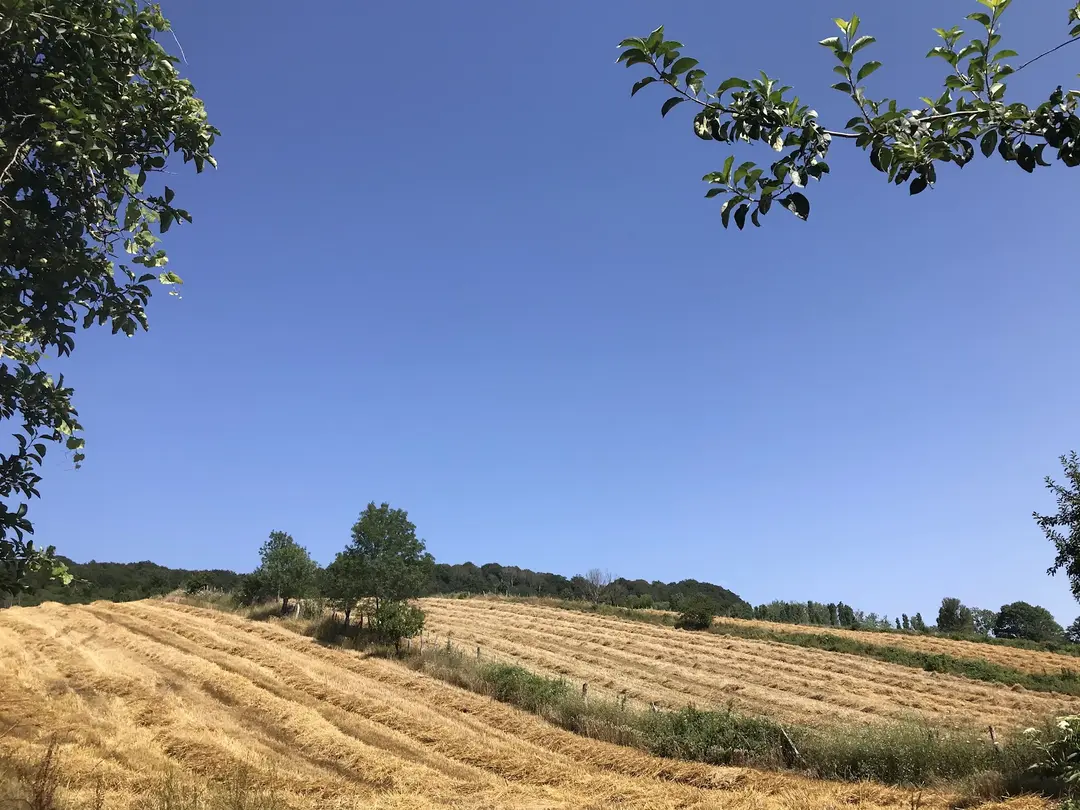 Sarıkum Lake Nature Conservation Area — Sinop — küçük resim 7