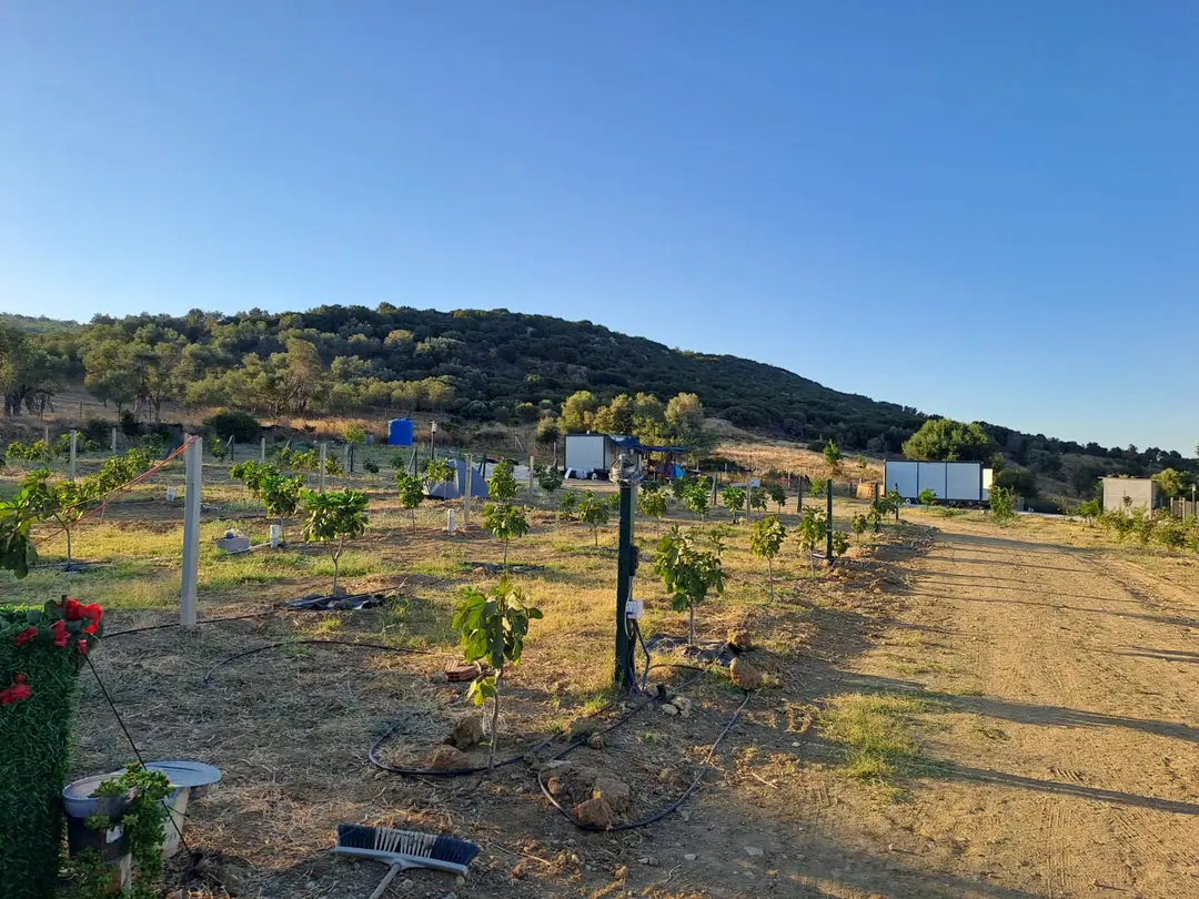 Hide Away Camping & Parking — İzmir — küçük resim 5