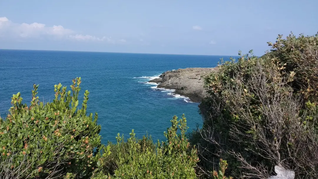 İnceburun — Sinop — küçük resim 10