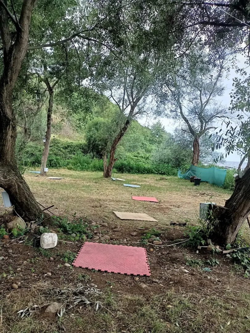 Karavan Park&8d1r Kamp Alan1 — Trabzon — küçük resim 9